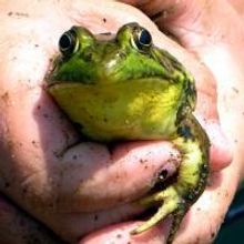 The Jackson Gallery At The Town Hall Theatre Hosts Evolving Patterns Exhibit